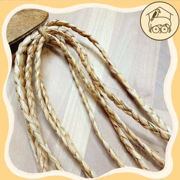 八爪章魚珠珠啃咬串【鸚鵡小木屋】 