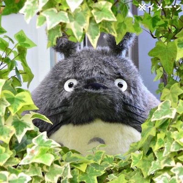 宮崎駿 龍貓 經典深灰龍貓 絨毛玩偶 特大70cm 台南好玩.日本商品.日本正版.日本代購.日本雜貨.龍貓娃娃.宮崎駿周邊商品.魔女宅急便.神隱少女.無臉男.霍爾移動城堡.波妞.史努比.角落生物.拼圖.Peko牛奶妹.迪士尼