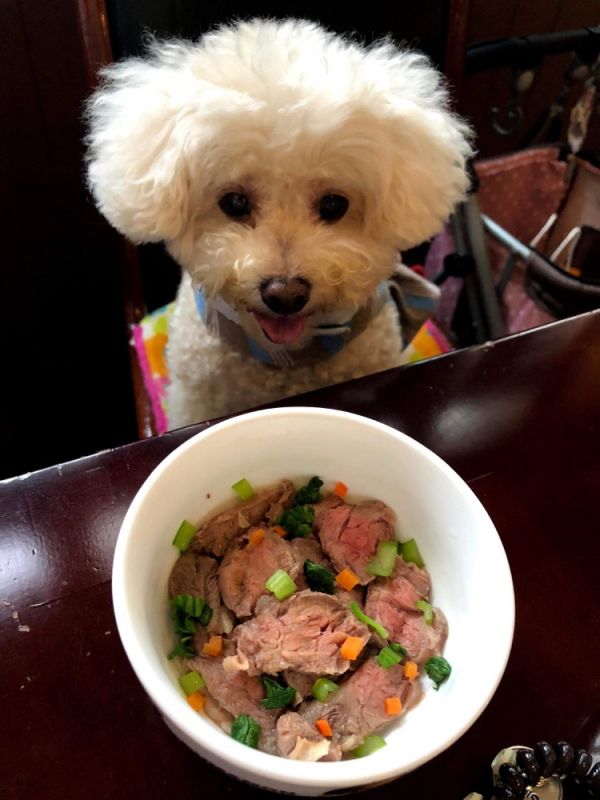 【老狗配方】狗狗牛肉麵（1入) 狗狗牛肉麵,時寓,牛肉麵,寵物友善,台北