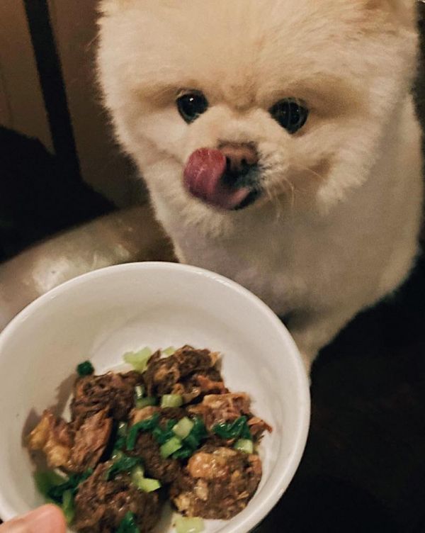 【老狗配方】狗狗牛肉麵（1入) 狗狗牛肉麵,時寓,牛肉麵,寵物友善,台北