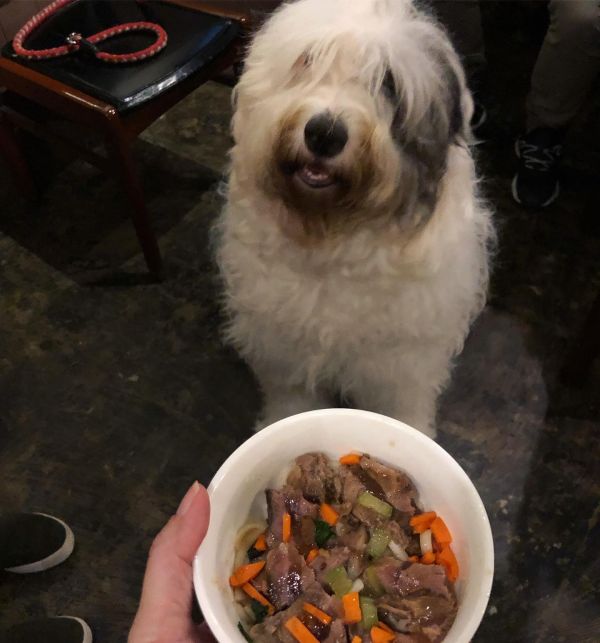 【老狗配方】狗狗牛肉麵（1入) 狗狗牛肉麵,時寓,牛肉麵,寵物友善,台北