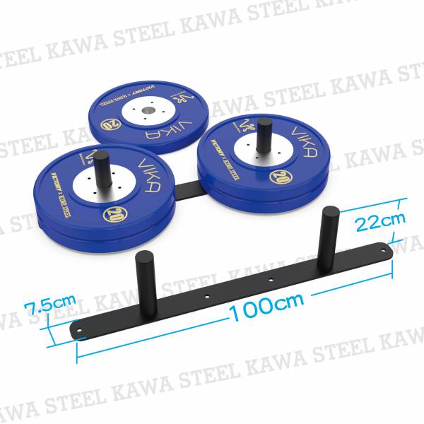 Kawa Steel Wall Mounted Plate Rack 