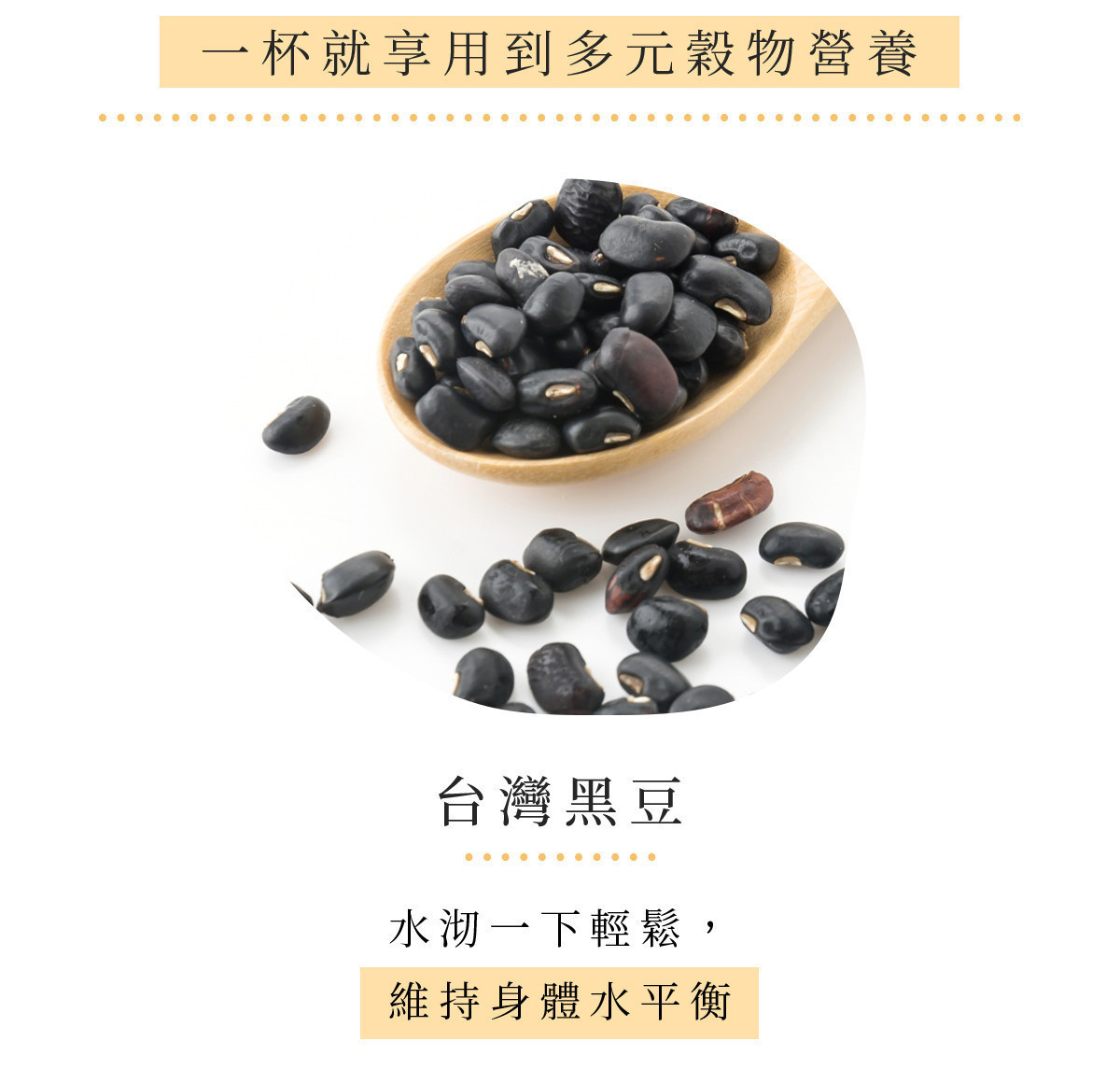 台灣黑豆|潤澤日常、補充元氣