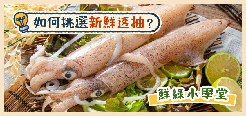 如何挑選新鮮透抽?顏色、觸感、氣味一次搞懂市場老饕不藏私教學