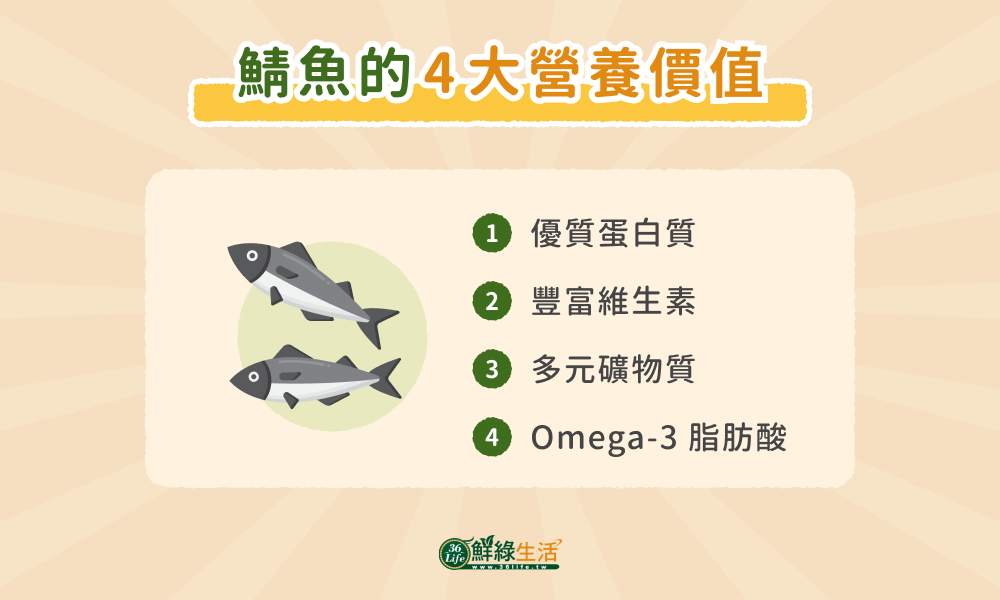 鯖魚的 4 大營養價值