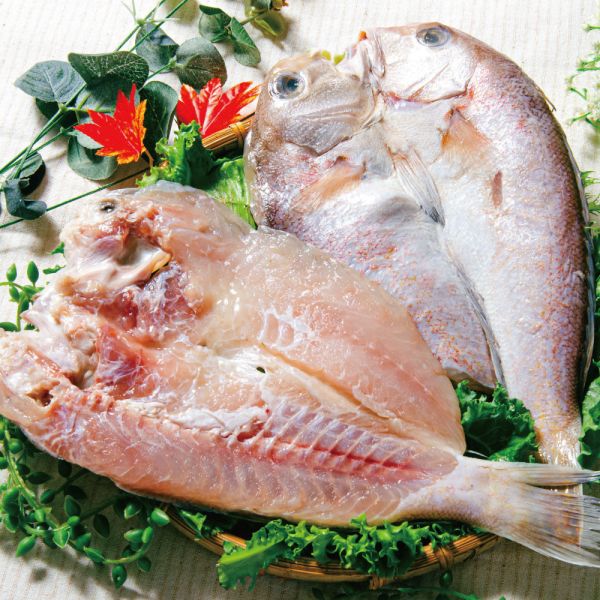 馬頭魚一夜干 馬頭魚,一夜干,日式料理,日式風味,肉質細緻,油脂豐厚,簡單料理,快速料理,海味,海鮮料理
