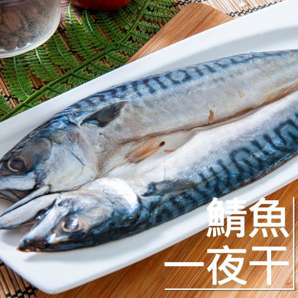 挪威鯖魚一夜干275G 挪威鯖魚,鯖魚推薦,鯖魚料理,鯖魚營養,鯖魚哪裡買,挪威鯖魚營養價值,挪威鯖魚怎麼煮最好吃,挪威鯖魚含Omega-3嗎,挪威鯖魚與台灣鯖魚差別,挪威鯖魚適合氣炸嗎,挪威鯖魚保存方式,挪威鯖魚料理推薦,挪威鯖魚適合孕婦吃嗎