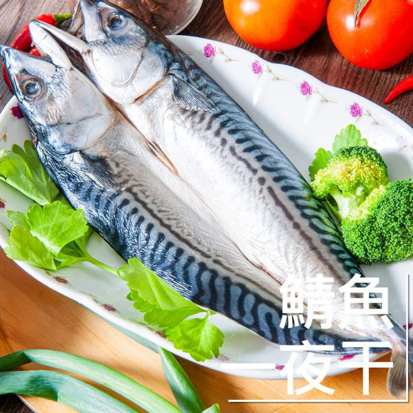挪威鯖魚一夜干175G(共7片)(免運) 挪威鯖魚,鯖魚推薦,鯖魚料理,鯖魚營養,鯖魚哪裡買,挪威鯖魚營養價值,挪威鯖魚怎麼煮最好吃,挪威鯖魚含Omega-3嗎,挪威鯖魚與台灣鯖魚差別,挪威鯖魚適合氣炸嗎,挪威鯖魚保存方式,挪威鯖魚料理推薦,挪威鯖魚適合孕婦吃嗎