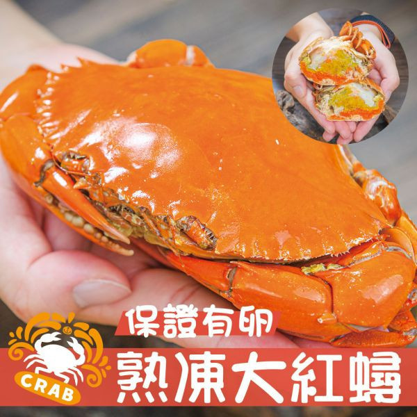 爆卵熟凍紅蟳(200/230g/隻) 2隻裝/包 共3包免運組 熟凍,紅蟳,緬甸,卵,熟凍,螃蟹