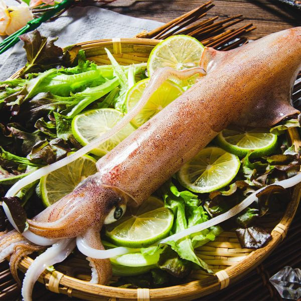 野生船凍透抽(3隻入) 冷凍,透抽