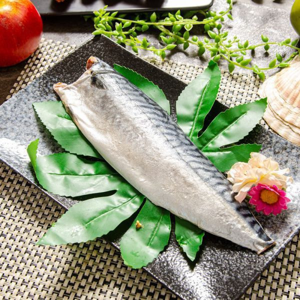 (無紙板) 挪威薄鹽鯖魚165g(共12片)免運+贈鯖魚一夜干175G(共1包) 挪威薄鹽鯖魚 淨重165g/片