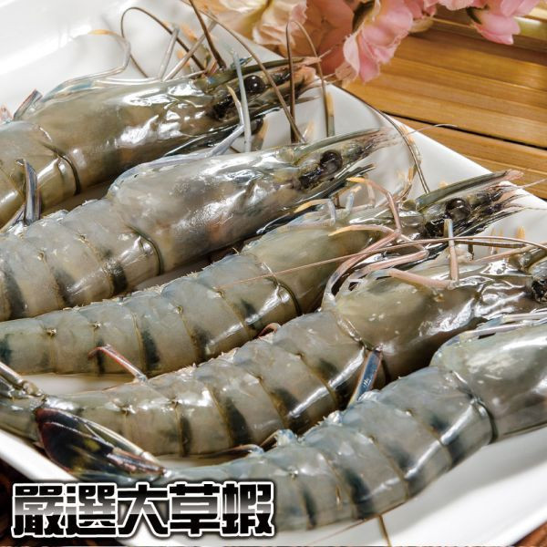 嚴選活凍黑虎大草蝦5尾裝 4盒(免運) 活凍草蝦、冷凍草蝦、草蝦宅配、生鮮草蝦、草蝦料理、氣炸蝦、草蝦推薦、急凍草蝦、草蝦蝦仁、海鮮冷凍批發、蝦仁批發宅配