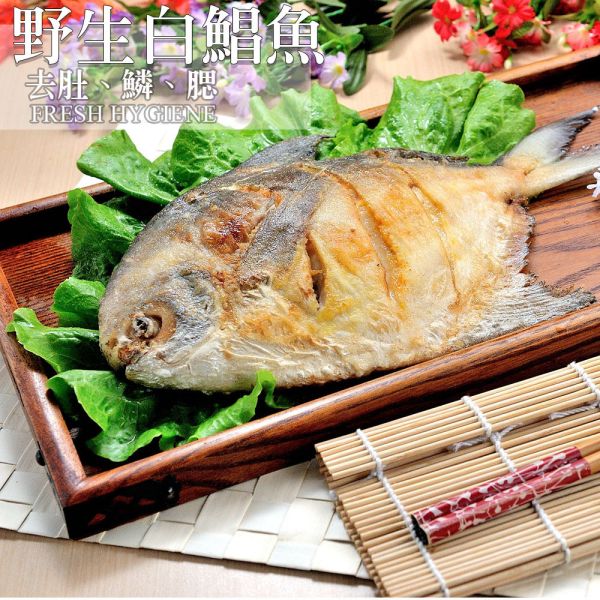 野生大白鯧350G 白鯧,鯧魚,大魚,台灣