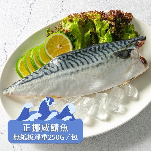 超巨挪威薄鹽鯖魚淨重250g/片 挪威鯖魚,鯖魚推薦,鯖魚料理,鯖魚營養,鯖魚哪裡買,挪威鯖魚營養價值,挪威鯖魚怎麼煮最好吃,挪威鯖魚含Omega-3嗎,挪威鯖魚與台灣鯖魚差別,挪威鯖魚適合氣炸嗎,挪威鯖魚保存方式,挪威鯖魚料理推薦,挪威鯖魚適合孕婦吃嗎