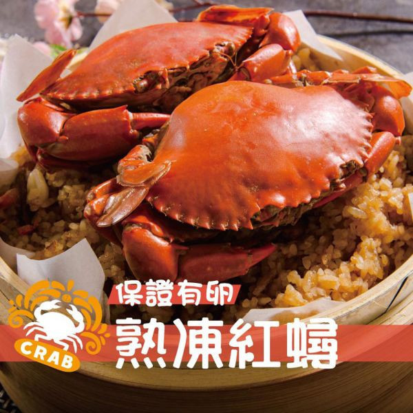 (買一送一)爆卵熟凍紅蟳2隻裝(150-175g/隻) 熟凍,紅蟳,緬甸,卵,熟凍,螃蟹