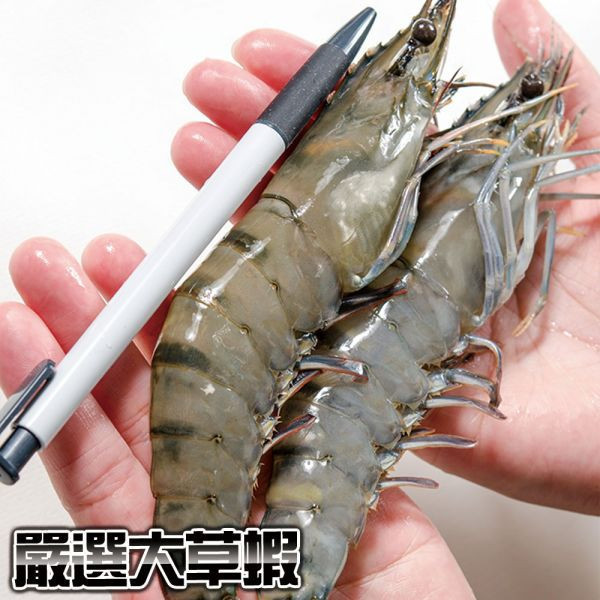 嚴選活凍黑虎大草蝦5尾裝 冷凍,草蝦,大蝦,蝦仁,馬來西亞,越南