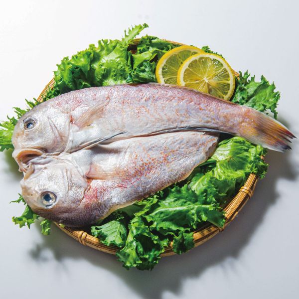 馬頭魚一夜干 馬頭魚,一夜干,日式料理,日式風味,肉質細緻,油脂豐厚,簡單料理,快速料理,海味,海鮮料理