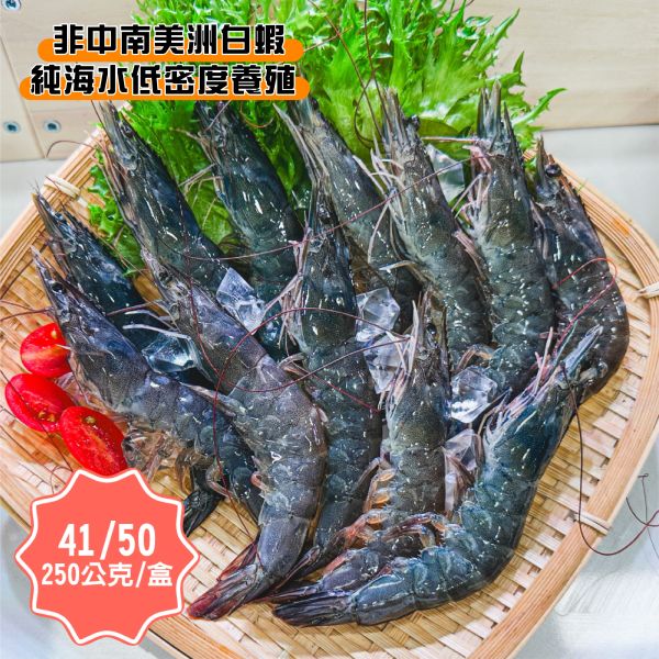 活凍白蝦41/50-250g/盒 活凍白蝦、41/50白蝦、冷凍白蝦、白蝦宅配、白蝦推薦、蝦仁料理、冷凍海鮮、家庭蝦料理、台灣白蝦、急凍白蝦、氣炸白蝦、炒蝦食材