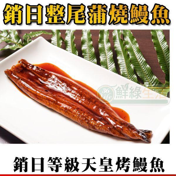 頂級直輸日本蒲燒烤鰻魚200g共4包(免運) 鰻魚,蒲燒,日式鰻魚