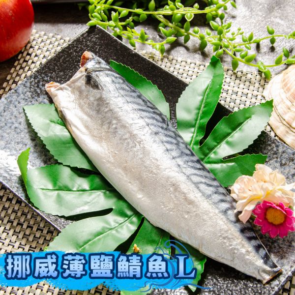 挪威薄鹽鯖魚L18-19片/箱(免運) 挪威薄鹽鯖魚L18-19片/箱