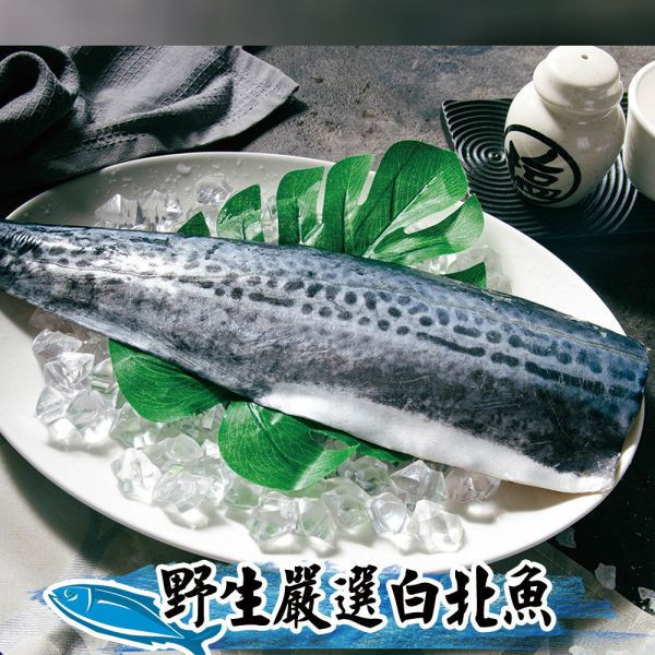 頂級白北魚菲力魚排300g 白腹魚、白北魚、稀有魚種、白腹魚料理、冷凍白北魚、白腹魚推薦、細刺魚類、便當魚、宅配白北魚、台灣近海魚、家常魚推薦