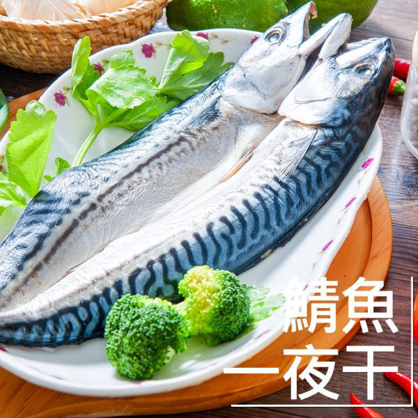 挪威鯖魚一夜干175G(共7片)(免運) 挪威鯖魚,鯖魚推薦,鯖魚料理,鯖魚營養,鯖魚哪裡買,挪威鯖魚營養價值,挪威鯖魚怎麼煮最好吃,挪威鯖魚含Omega-3嗎,挪威鯖魚與台灣鯖魚差別,挪威鯖魚適合氣炸嗎,挪威鯖魚保存方式,挪威鯖魚料理推薦,挪威鯖魚適合孕婦吃嗎