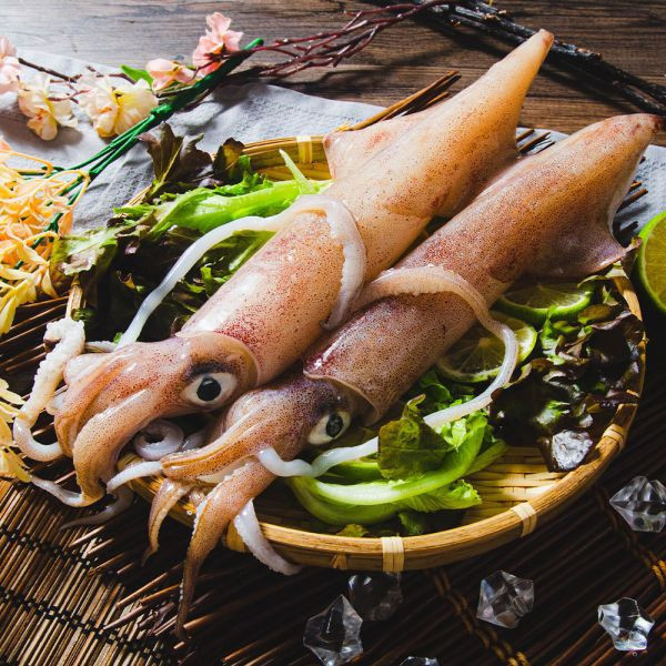 野生船凍透抽(3隻入) 冷凍,透抽