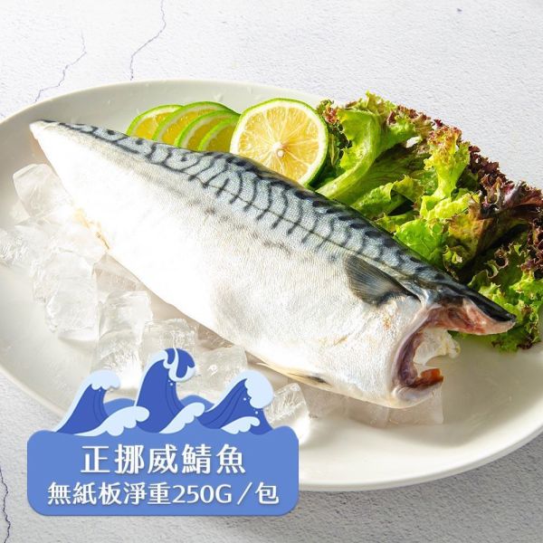 超巨挪威薄鹽鯖魚淨重250g/片 挪威鯖魚,鯖魚推薦,鯖魚料理,鯖魚營養,鯖魚哪裡買,挪威鯖魚營養價值,挪威鯖魚怎麼煮最好吃,挪威鯖魚含Omega-3嗎,挪威鯖魚與台灣鯖魚差別,挪威鯖魚適合氣炸嗎,挪威鯖魚保存方式,挪威鯖魚料理推薦,挪威鯖魚適合孕婦吃嗎