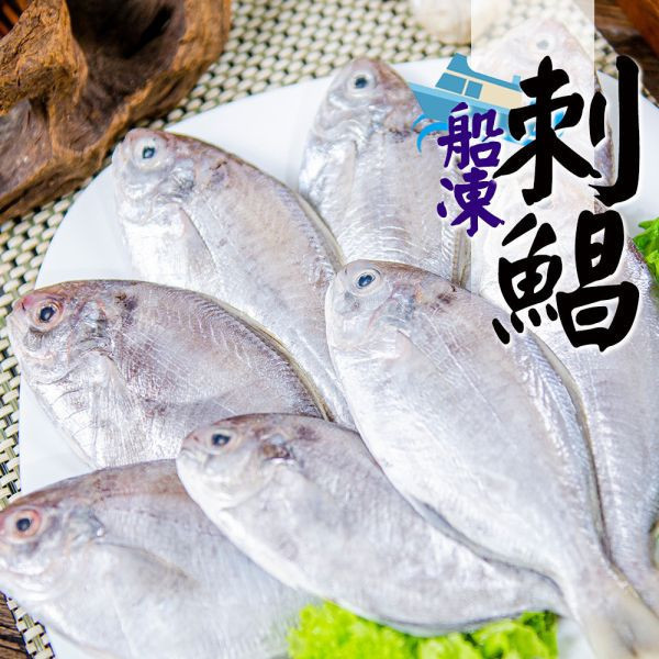 船凍刺鯧4尾/包 船凍刺鯧8尾/包