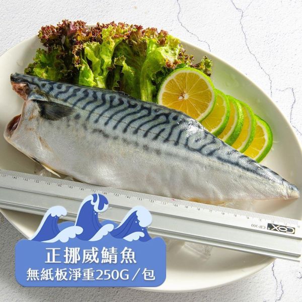 超巨挪威薄鹽鯖魚淨重250g/片 挪威鯖魚,鯖魚推薦,鯖魚料理,鯖魚營養,鯖魚哪裡買,挪威鯖魚營養價值,挪威鯖魚怎麼煮最好吃,挪威鯖魚含Omega-3嗎,挪威鯖魚與台灣鯖魚差別,挪威鯖魚適合氣炸嗎,挪威鯖魚保存方式,挪威鯖魚料理推薦,挪威鯖魚適合孕婦吃嗎