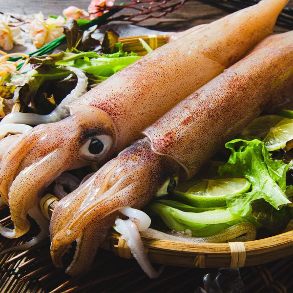 野生船凍透抽(3隻入) 冷凍,透抽