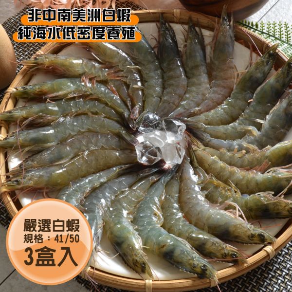 野生活凍大白蝦(41/50)600G 共3盒免運組 活凍白蝦、41/50白蝦、冷凍白蝦、白蝦宅配、白蝦推薦、蝦仁料理、冷凍海鮮、家庭蝦料理、台灣白蝦、急凍白蝦、氣炸白蝦、炒蝦食材