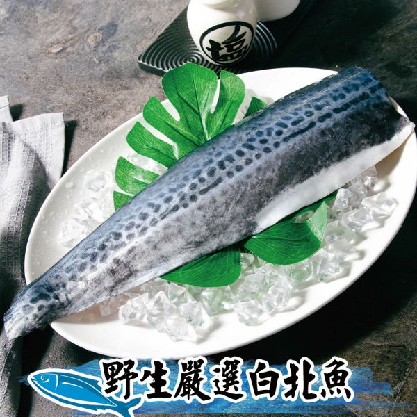 頂級白北魚菲力魚排300g共4包組免運 白腹魚、白北魚、稀有魚種、白腹魚料理、冷凍白北魚、白腹魚推薦、細刺魚類、便當魚、宅配白北魚、台灣近海魚、家常魚推薦