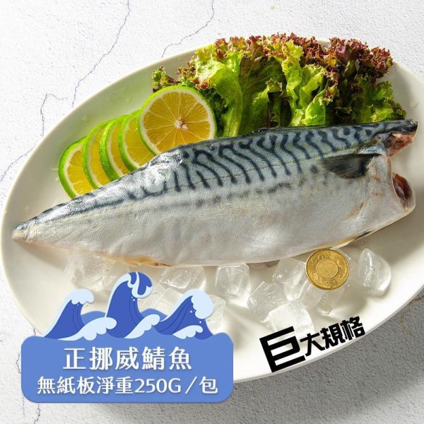超巨挪威薄鹽鯖魚250g/片(共10片免運) 挪威鯖魚,鯖魚推薦,鯖魚料理,鯖魚營養,鯖魚哪裡買,挪威鯖魚營養價值,挪威鯖魚怎麼煮最好吃,挪威鯖魚含Omega-3嗎,挪威鯖魚與台灣鯖魚差別,挪威鯖魚適合氣炸嗎,挪威鯖魚保存方式,挪威鯖魚料理推薦,挪威鯖魚適合孕婦吃嗎