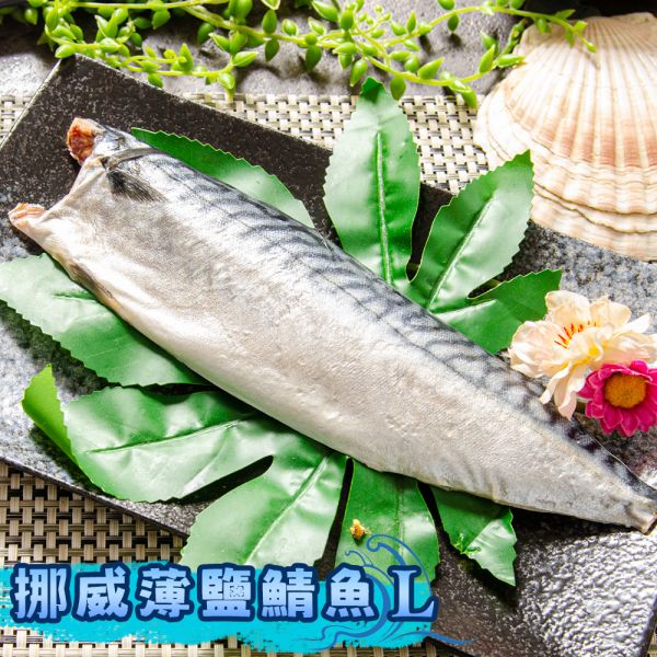 挪威薄鹽鯖魚L18-19片/箱(免運) 挪威薄鹽鯖魚L18-19片/箱