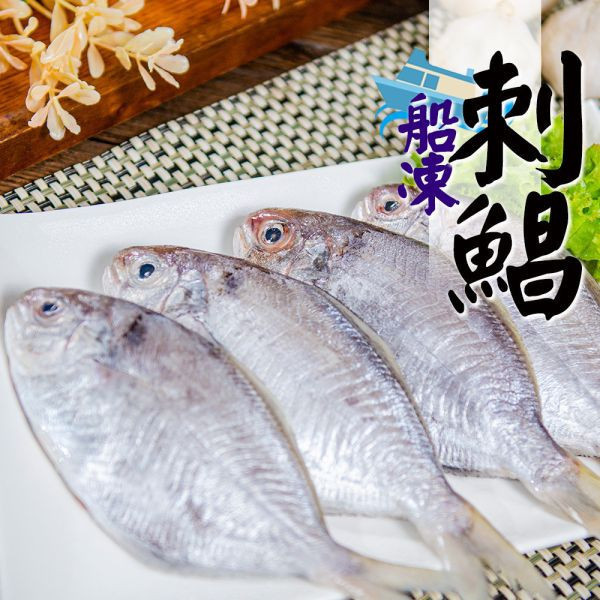 船凍刺鯧4尾/包 船凍刺鯧8尾/包