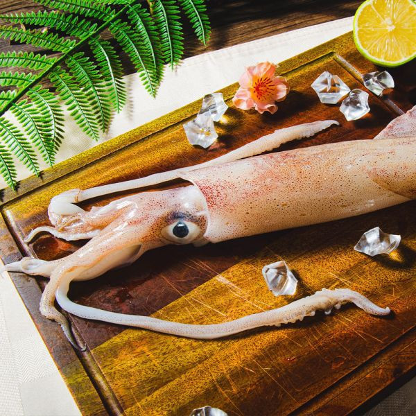 野生船凍透抽(3隻入) 冷凍,透抽