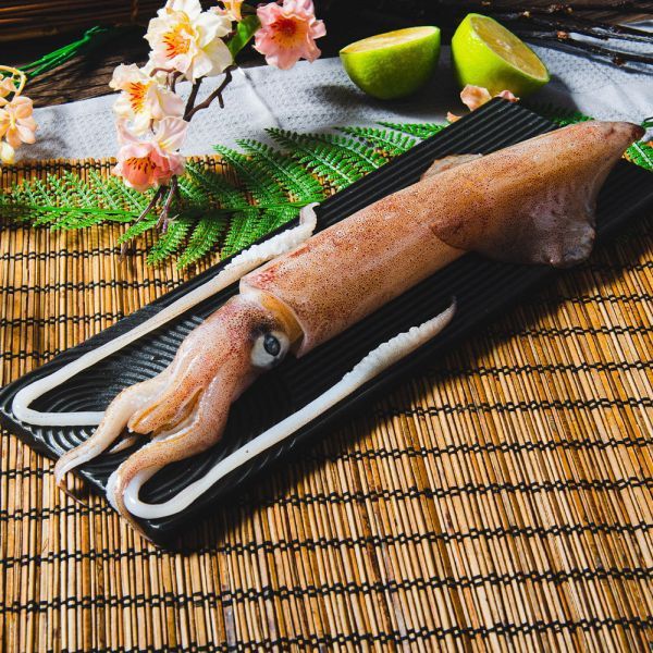 野生船凍透抽(3隻入) 冷凍,透抽