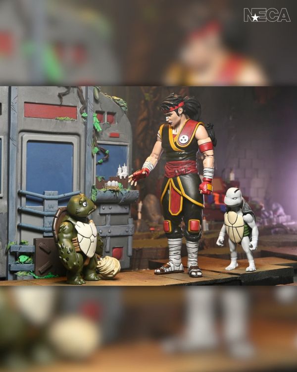 NECA 忍者龜 最後的浪人：失落的歲月 Casey Marie 與 Baby Odyn & Uno 7吋 可動 0706 