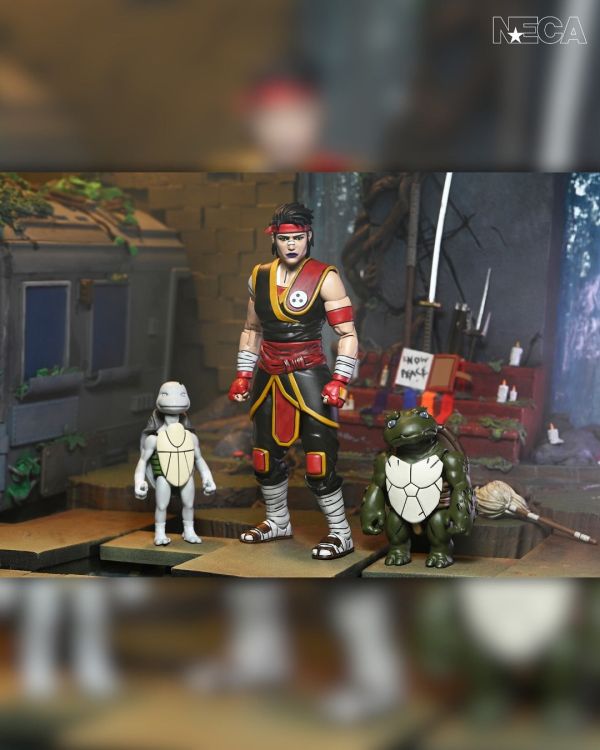 NECA 忍者龜 最後的浪人：失落的歲月 Casey Marie 與 Baby Odyn & Uno 7吋 可動 0706 