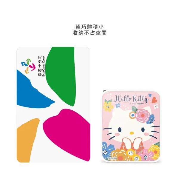 三麗鷗 Hello Kitty PD 快充充電器 花花公主 