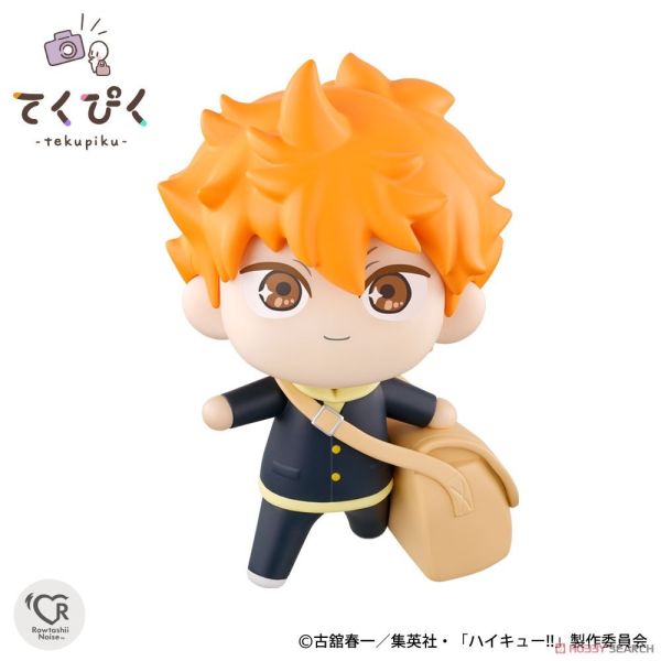 現貨 景品 TEKUPIKU 排球少年 日向翔陽 