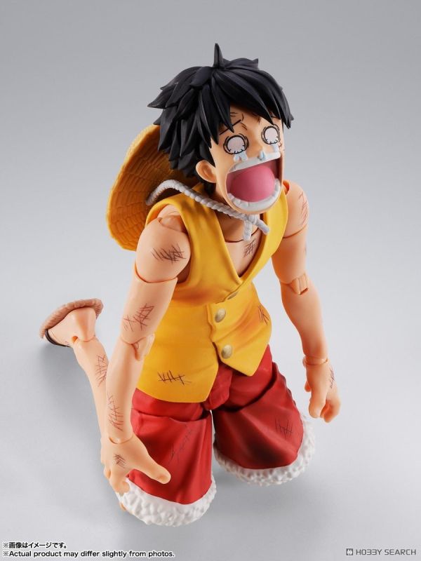 BANDAI S.H.Figuarts SHF 航海王 蒙其·D·魯夫 馬林福特頂上決戰 0909 