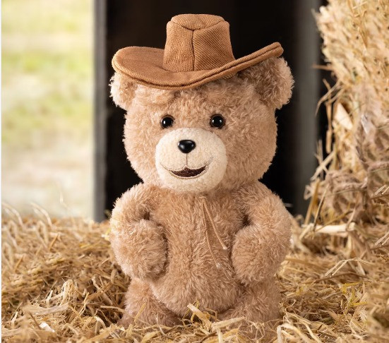 現貨 盲盒 泡泡瑪特 TED2泰迪熊 絨毛吊飾 