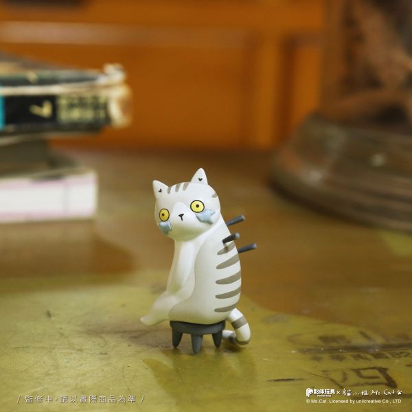 現貨 盲盒 夥伴玩具 喵喵國術館 
