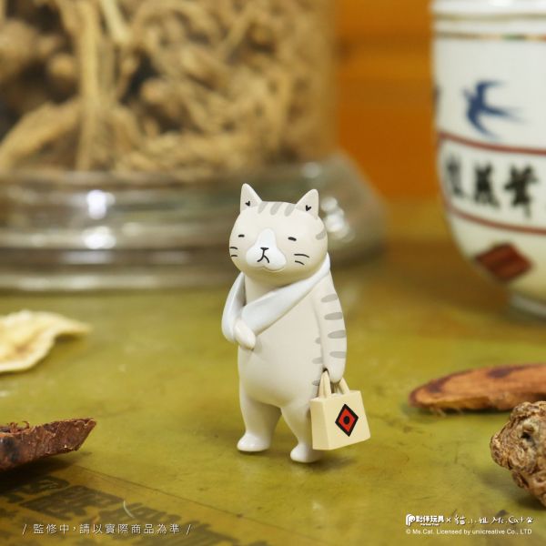 現貨 盲盒 夥伴玩具 喵喵國術館 