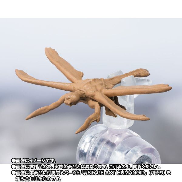 S.H.MonsterArts 哥吉拉x美加基拉斯 G消滅作戰 美加基拉斯 進化套組 1006 