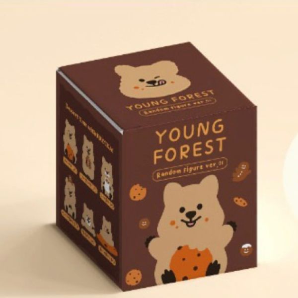 現貨 盲盒 韓國 YOUNG FOREST 袋鼠 公仔 