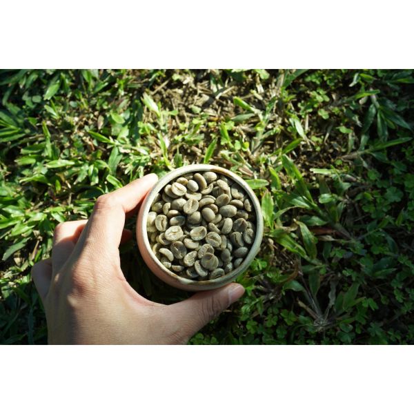 多款咖啡生豆｜有機認證｜500g起 有機咖啡豆,有機認證,咖啡推薦,烘豆diy,烘豆教學,生豆購買,公平交易,瑞士水處理法,低咖啡因,健康飲食,現烘咖啡,生豆推薦,蔬食推薦,省錢方法