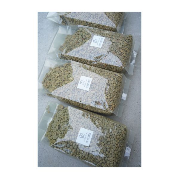 多款咖啡生豆｜有機認證｜500g起 有機咖啡豆,有機認證,咖啡推薦,烘豆diy,烘豆教學,生豆購買,公平交易,瑞士水處理法,低咖啡因,健康飲食,現烘咖啡,生豆推薦,蔬食推薦,省錢方法